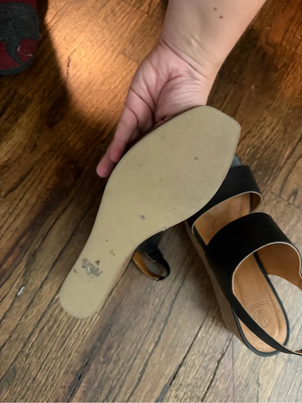 Coclico wedge size 7.5